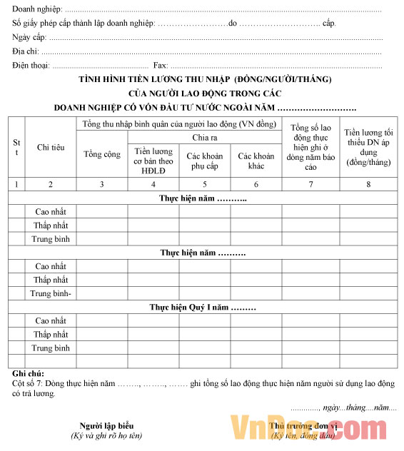 Mẫu báo cáo tình hình tiền lương thu nhập của người lao động