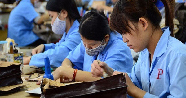 Lao động nữ mang thai có được xin chuyển công tác