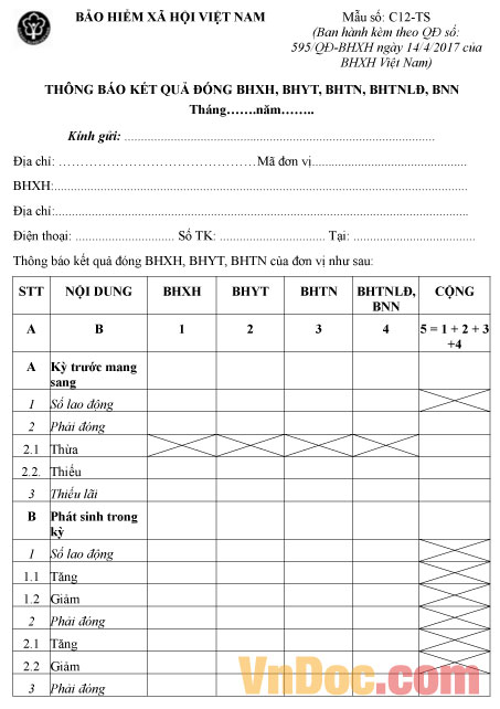 Mẫu số C12-TS: Thông báo kết quả đóng BHXH, BHYT, BHTN, BHTNLĐ, BNN