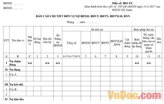 Mẫu số B03-TS: Báo cáo chi tiết đơn vị nợ BHXH, BHYT, BHTN, BHTNLĐ, BNN