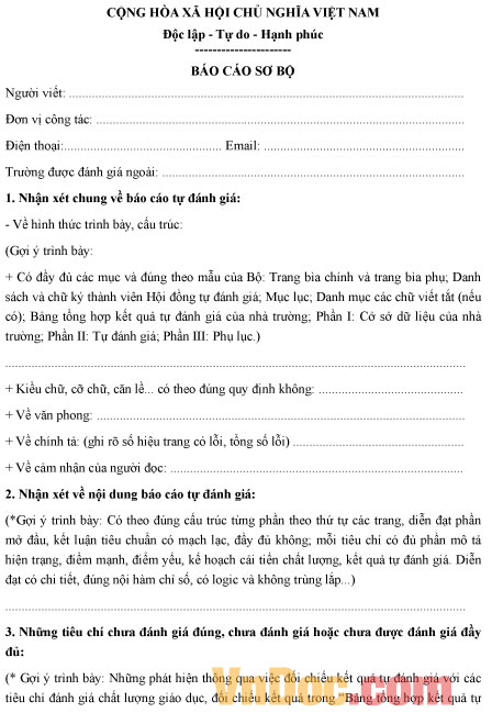 Mẫu báo cáo sơ bộ đánh giá ngoài