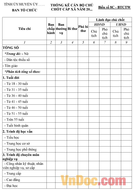 Biểu số 8C - BTCTW: Thống kê cán bộ chủ chốt cấp xã