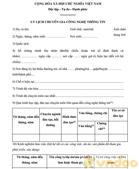 Mẫu lý lịch chuyên gia công nghệ thông tin