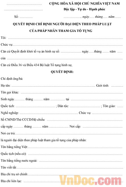 Mẫu quyết định chỉ định người đại diện theo pháp luật