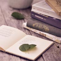 Mẫu số 43/HS: Quyết định không phê chuẩn quyết định về việc bảo lĩnh