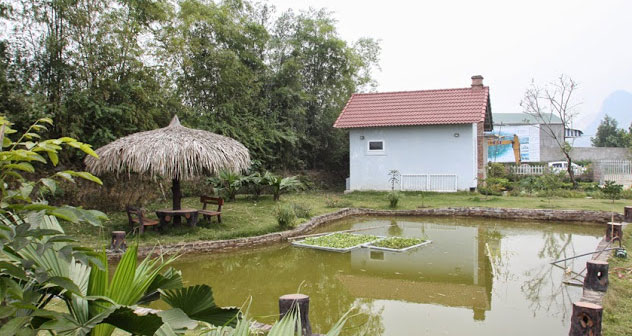 Thế nào là đất vườn, ao