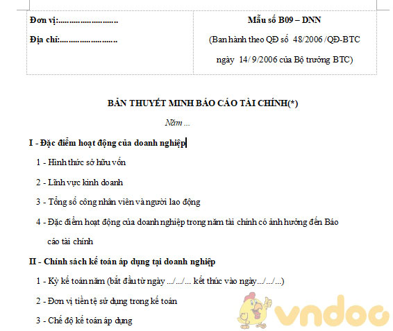 Mẫu thuyết minh báo cáo tài chính quyết định 48