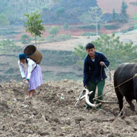 Bảng tra cứu các huyện nghèo trên toàn quốc giai đoạn 2018 - 2020