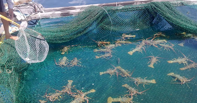 Thủ tục xin chuyển đất nông nghiệp sang đất nuôi trồng thủy sản