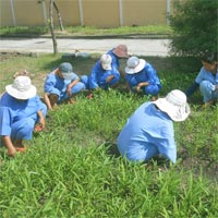 Mẫu sổ theo dõi, quản lý bệnh nhân tâm thần tại cộng đồng