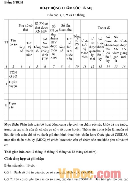 Mẫu báo cáo tình hình hoạt động chăm sóc bà mẹ
