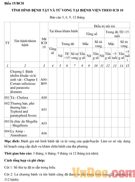 Mẫu báo cáo tình hình bệnh tật và tử vong tại bệnh viện theo ICD 10