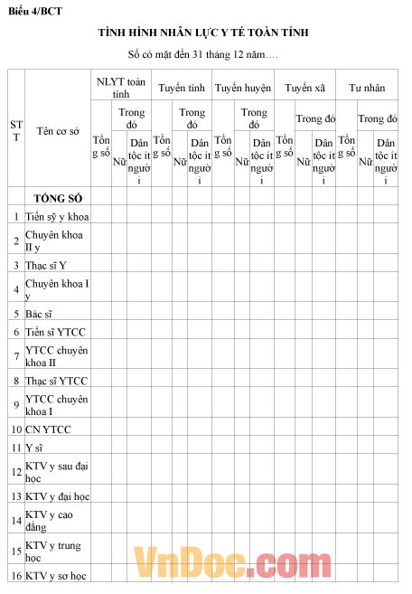 Mẫu báo cáo tình hình nhân lực y tế toàn tỉnh