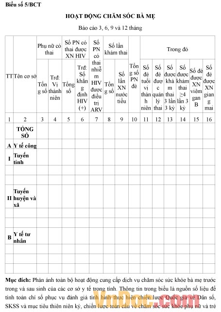 Mẫu báo cáo tình hình hoạt động chăm sóc bà mẹ