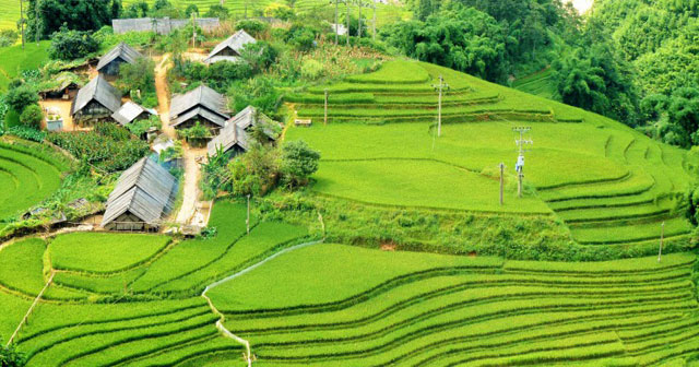 Nhà không có sổ đỏ khi giải tỏa đất có được đền bù không?