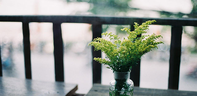 Kịch bản khai mạc hè