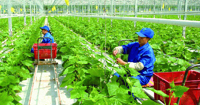 Quy định mới của về nông nghiệp, nông thôn mới