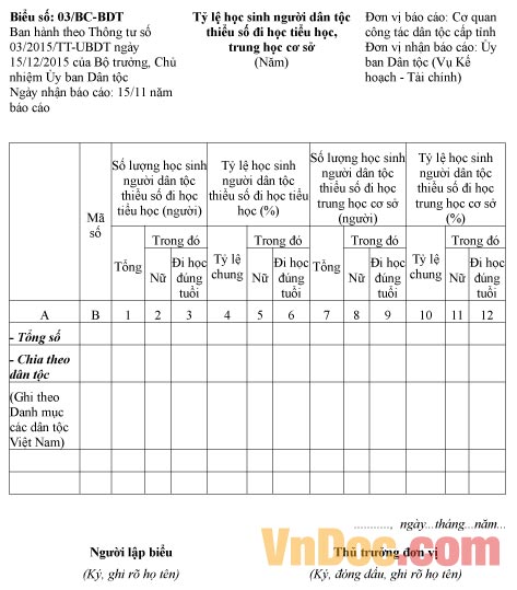 Mẫu báo cáo tỷ lệ học sinh người dân tộc thiểu số đi học tiểu học, THCS