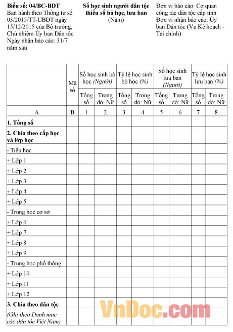 Mẫu báo cáo số lượng học sinh dân tộc thiểu số bỏ học, lưu ban
