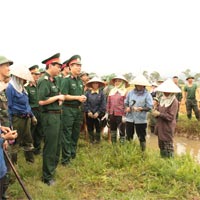 Biểu số 22/BC-BDT: Báo cáo số công chức thuộc khu vực quản lý nhà nước về công tác dân tộc