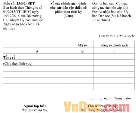 Mẫu báo cáo số các chính sách dành cho các dân tộc thiểu số phân theo thời kỳ