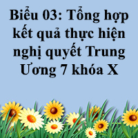 Biểu 03: Tổng hợp kết quả thực hiện nghị quyết Trung Ương 7 khóa X