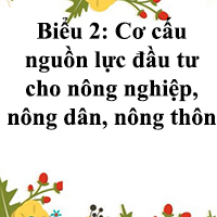 Biểu 2: Cơ cấu nguồn lực đầu tư cho nông nghiệp, nông dân, nông thôn