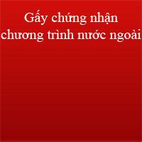 Mẫu giấy chứng nhận đăng ký cung cấp chương trình nước ngoài trên dịch vụ truyền hình