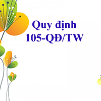 Quy định 105-QĐ/TW 2017 về phân cấp quản lý cán bộ và bổ nhiệm, giới thiệu cán bộ ứng cử