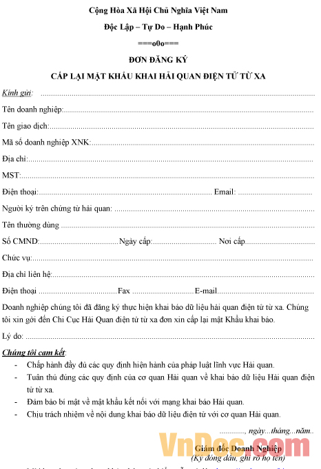 Mẫu đơn đăng ký lại mật khẩu khai hải quan