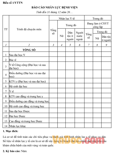 Mẫu báo cáo nhân lực bệnh viện