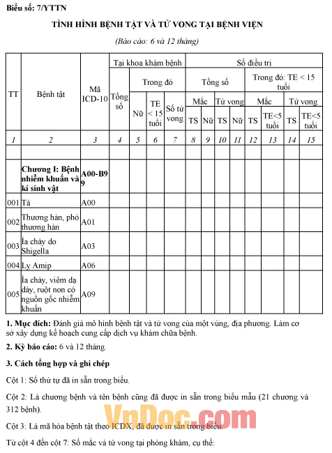Mẫu báo cáo tình hình bệnh tật và tử vong tại bệnh viện