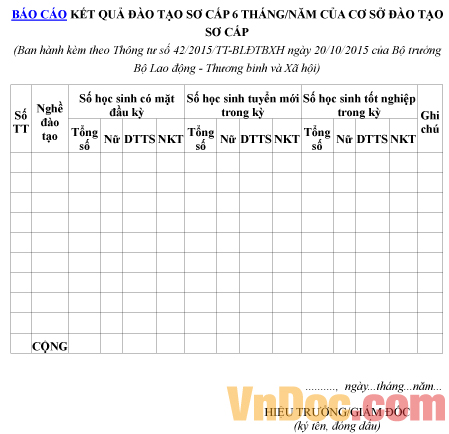 Mẫu báo cáo về kết quả đào tạo sơ cấp