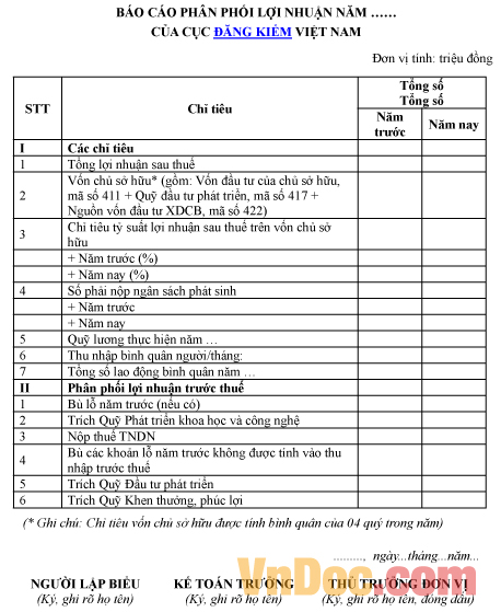 Mẫu báo cáo về phân phối lợi nhuận của Cục Đăng kiểm Việt Nam