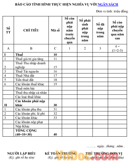 Mẫu báo cáo về tình hình thực hiện nghĩa vụ với ngân sách