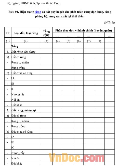 Mẫu báo cáo ghi chép về hiện trạng rừng và đất quy hoạch cho phát triển rừng