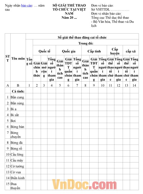 Mẫu báo cáo thống kê số giải thể thao tổ chức tại Việt Nam