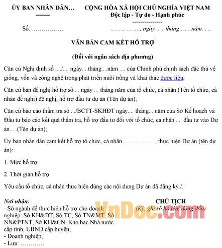 Mẫu văn bản cam kết về việc hỗ trợ đầu tư
