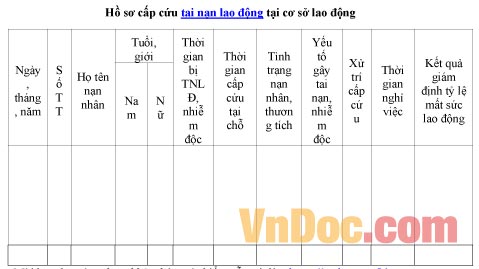 Mẫu hồ sơ về việc cấp cứu tai nạn lao động tại cơ sở lao động