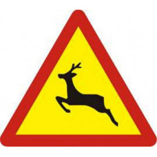 Biển báo thú rừng vượt qua đường W231