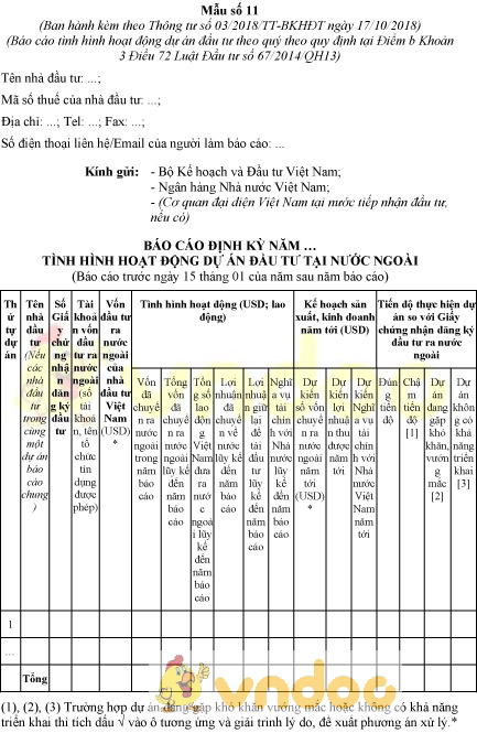 Mẫu báo cáo định kỳ năm tình hình đầu tư dự án tại nước ngoài