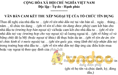 Mẫu văn bản cam kết thu xếp ngoại tệ của tổ chức tín dụng