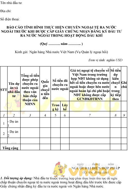 Báo cáo tình hình thực hiện chuyển ngoại tệ ra nước ngoài