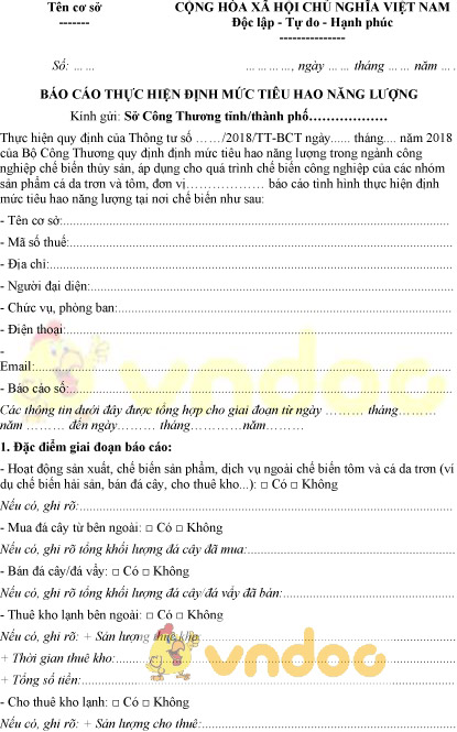 Mẫu báo cáo thực hiện định mức tiêu hao năng lượng