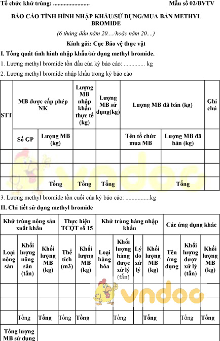 Mẫu số 02/BVTV báo cáo tình hình nhập khẩu, sử dụng, mua bán METHYL BROMIDE