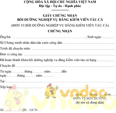 Mẫu giấy chứng nhận bồi dưỡng nghiệp vụ đăng kiểm viên tàu cá