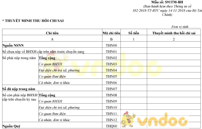 Mẫu số S91TM-BH: Thuyết minh thu hồi chi sai