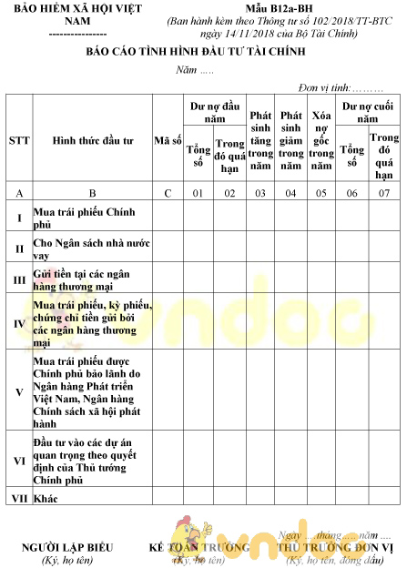 Mẫu B12a-BH: Báo cáo tình hình đầu tư tài chính