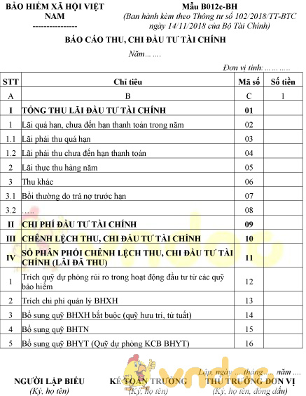 Mẫu B12c-BH: Báo cáo thu, chi đầu tư tài chính