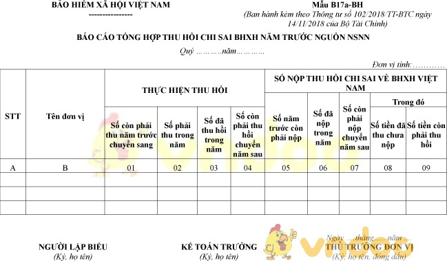 Mẫu B17a-BH: Báo cáo tổng hợp thu hồi chi sai BHXH năm trước nguồn NSNN